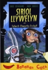 Image for Siriol Llywelyn A&#39;r Salwch Chwyrlio Erchyll