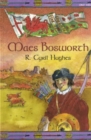 Image for Maes Bosworth