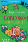 Image for Cyfres Lliw a Llun: Coblynnod a&#39;r Wrach!