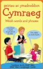 Image for Geiriau ac Ymadroddion Cymraeg/Welsh Words and Phrases