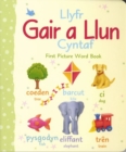 Image for Llyfr Gair a Llun Cyntaf/First Picture Word Book