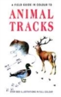 Image for Animal tracks