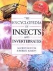 Image for ENCYCLOPAEDIA OF INSECTS &amp; INVERTEBRATE