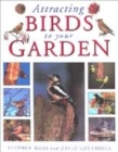 Image for HOW TO ATTRACT BIRDS TO YOUR GARDEN