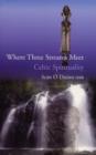 Image for Where Three Streams Meet : Celtic Spirituality