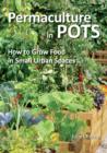 Image for Permaculture in pots  : how to grow food in small urban spaces