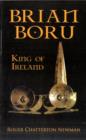 Image for Brian Boru: King of Ireland