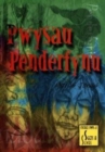 Image for Penderfyniadau