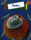 Image for Pydru