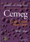Image for Cemeg : Y Llyfr Gwaith Haen Uwch