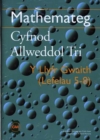 Image for Mathemateg Cyfnod Allweddol Tri : Y Llyfr Gwaith: Lefelau 5-8 (gyda a Tebion)