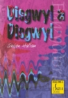 Image for Egwyddorion : Disgwyl a Disgwyl