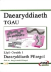 Image for Daearyddiaeth TGAU: Daearyddiaeth Ffisegol - Llyfr Gwaith 1