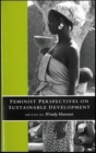 Image for Feminist Perspectives on Sustainable Development