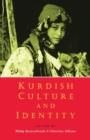 Image for Kurdish Culture and Identity