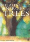 Image for The healing energies of trees