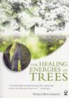 Image for The Healing Energies of Trees