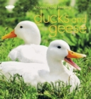 Image for Choosing and keeping ducks and geese