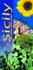 Image for Sicily : Car Tours and Walks
