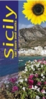 Image for Sicily : Car Tours and Walks