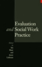 Image for Evaluation and Social Work Practice