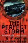 Image for The perfect storm  : a true story of men against the sea
