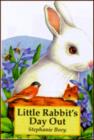 Image for Little Rabbit&#39;s Day Out