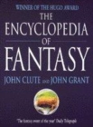 Image for Encyclopedia Of Fantasy