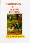 Image for Exhibition &amp; flying pigeons
