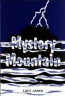 Image for Mystery Mountain