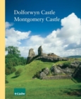 Image for Dolforwyn Castle, Montgomery Castle