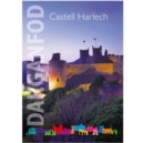 Image for Darganfod: Castell Harlech