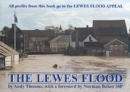 Image for The Lewes Flood