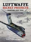 Image for Luftwaffe Secret Projects: Fighters 1939-1945
