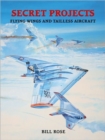 Image for Secret Projects: Flying Wings and Tailless Aircraft