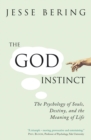 Image for The God Instinct: The Psychology of Souls, Destiny, and the Meaning of Life