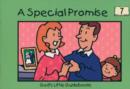 Image for A Special Promise