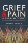 Image for Grief and Pain in the Plan of God : Christian Assurance and the message of Lamentations