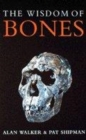 Image for The wisdom of bones  : in search of human origins