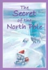 Image for The secret of the North Pole