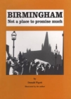 Image for Birmingham : Not a Place to Promise Much