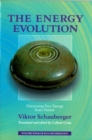 Image for The energy evolution  : harnessing free energy from nature