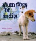 Image for Slum Dogs of India