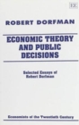 Image for Economic Theory and Public Decisions