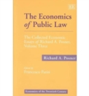 Image for The Economics of Public Law