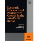 Image for Economic efficiency and productivity growth in the Asia-Pacific region