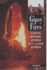 Image for Gipsy Fires