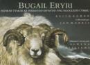 Image for Bugail Eryri - Pedwar Tymor ar Ffermydd Mynydd yng Ngogledd Cymru