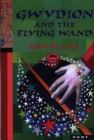 Image for Gwydion and the Flying Wand