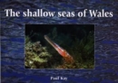 Image for Shallow Seas of Wales, The